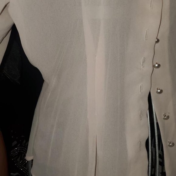 Vintage Blush Embroidered Lace Chic Chiffon Top - Picture 5 of 8